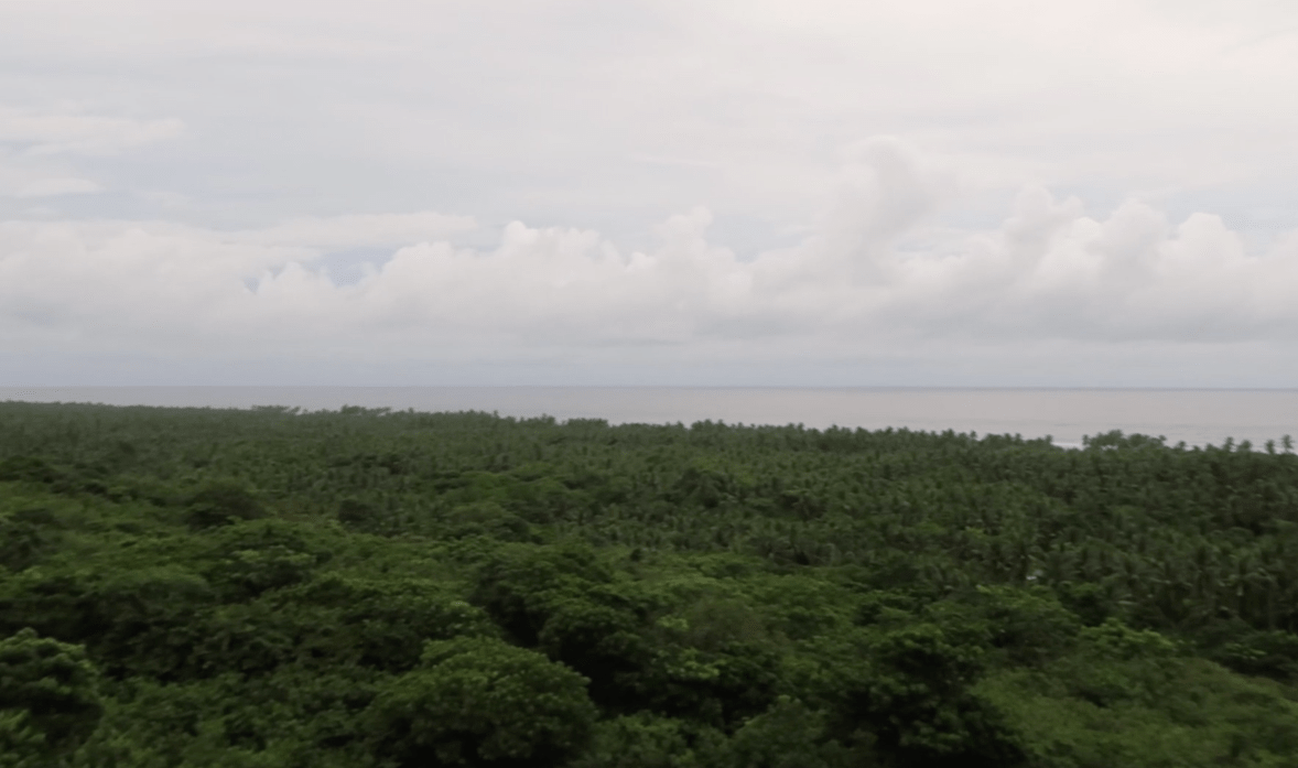 a view over the south china sea in pangasinan philippines with lush green trees
